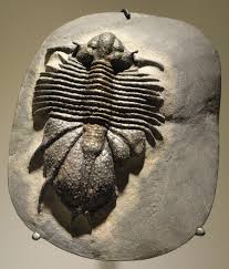 Ilustrační obrázek článku - ČP test - 9. ročník