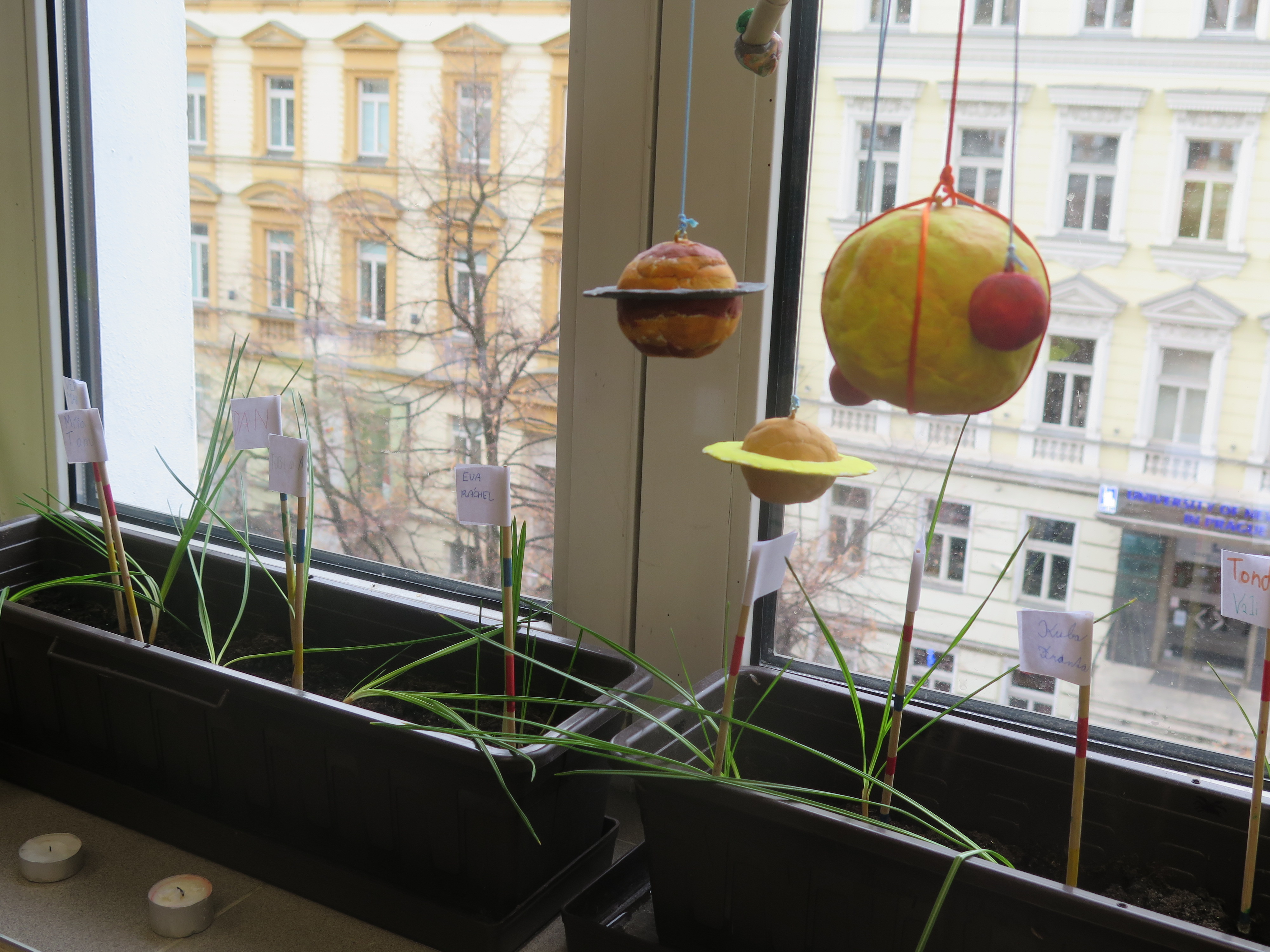 Ilustrační obrázek článku - Projekt Krokus - 5. ročník