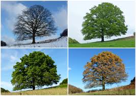 Ilustrační obrázek článku - Test z NJ