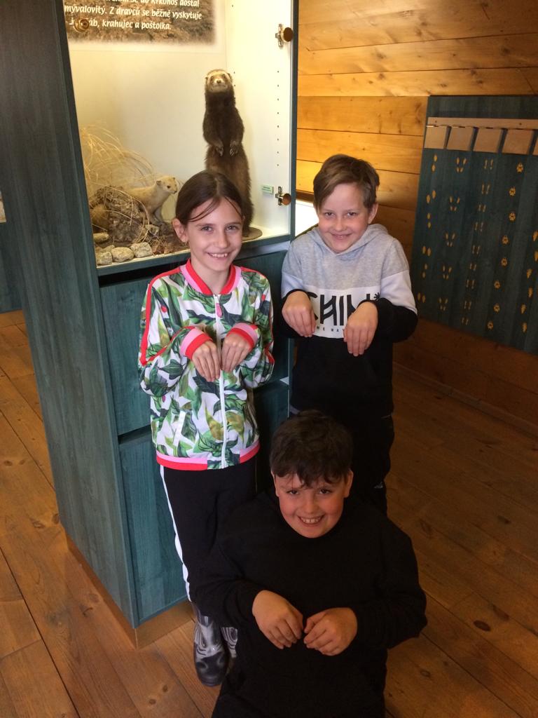 Ilustrační obrázek článku - Zotavovací pobyt 3. ročník