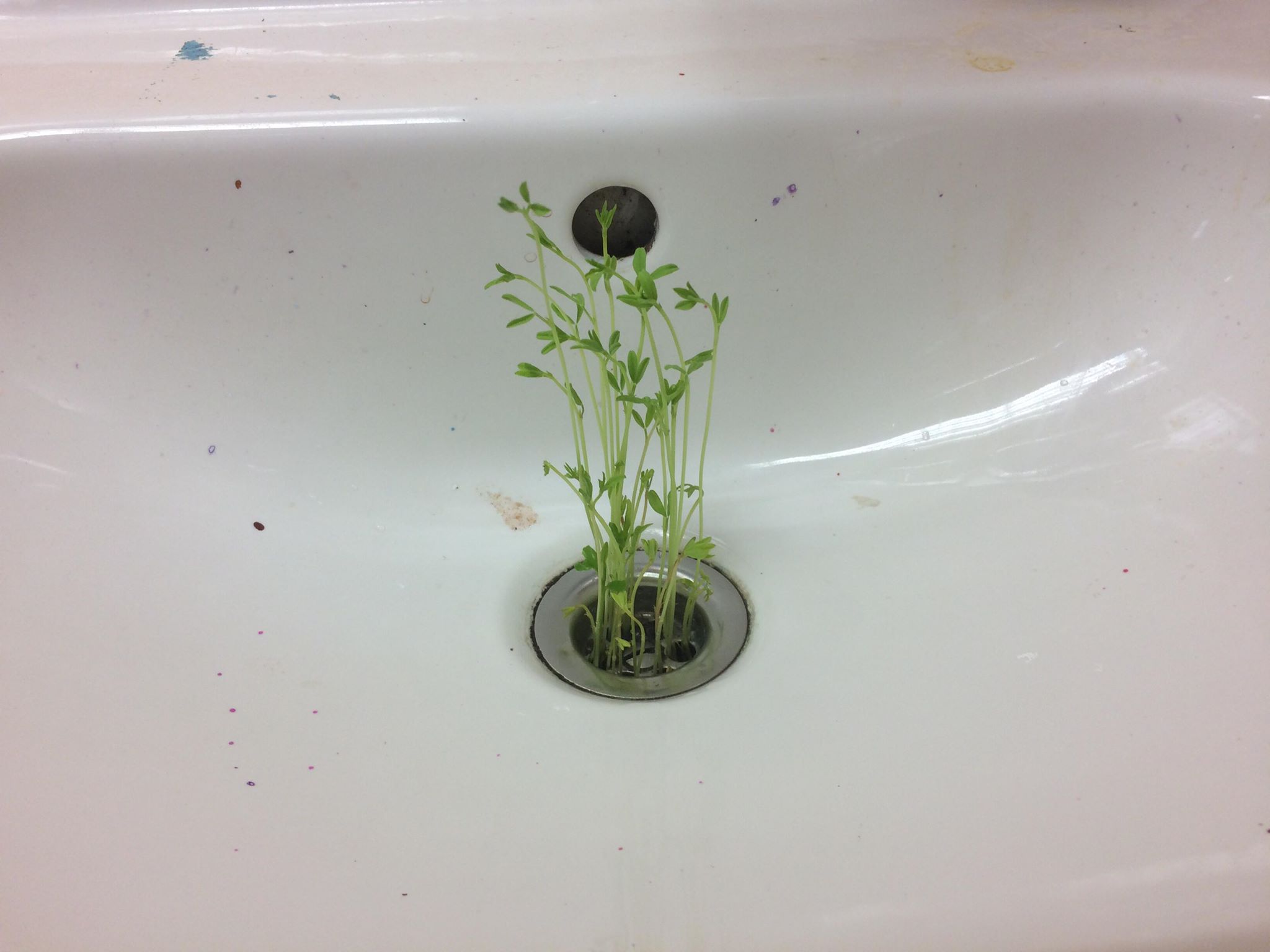 Ilustrační obrázek článku - Pozdrav pro deváťáky