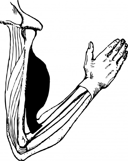 Ilustrační obrázek článku - ČP - 9.A - domácí úkol + TEST