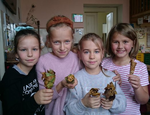 Ilustrační obrázek článku - "Podívej, kvete růže" ale ne ledajaká, naše je z javorového listí