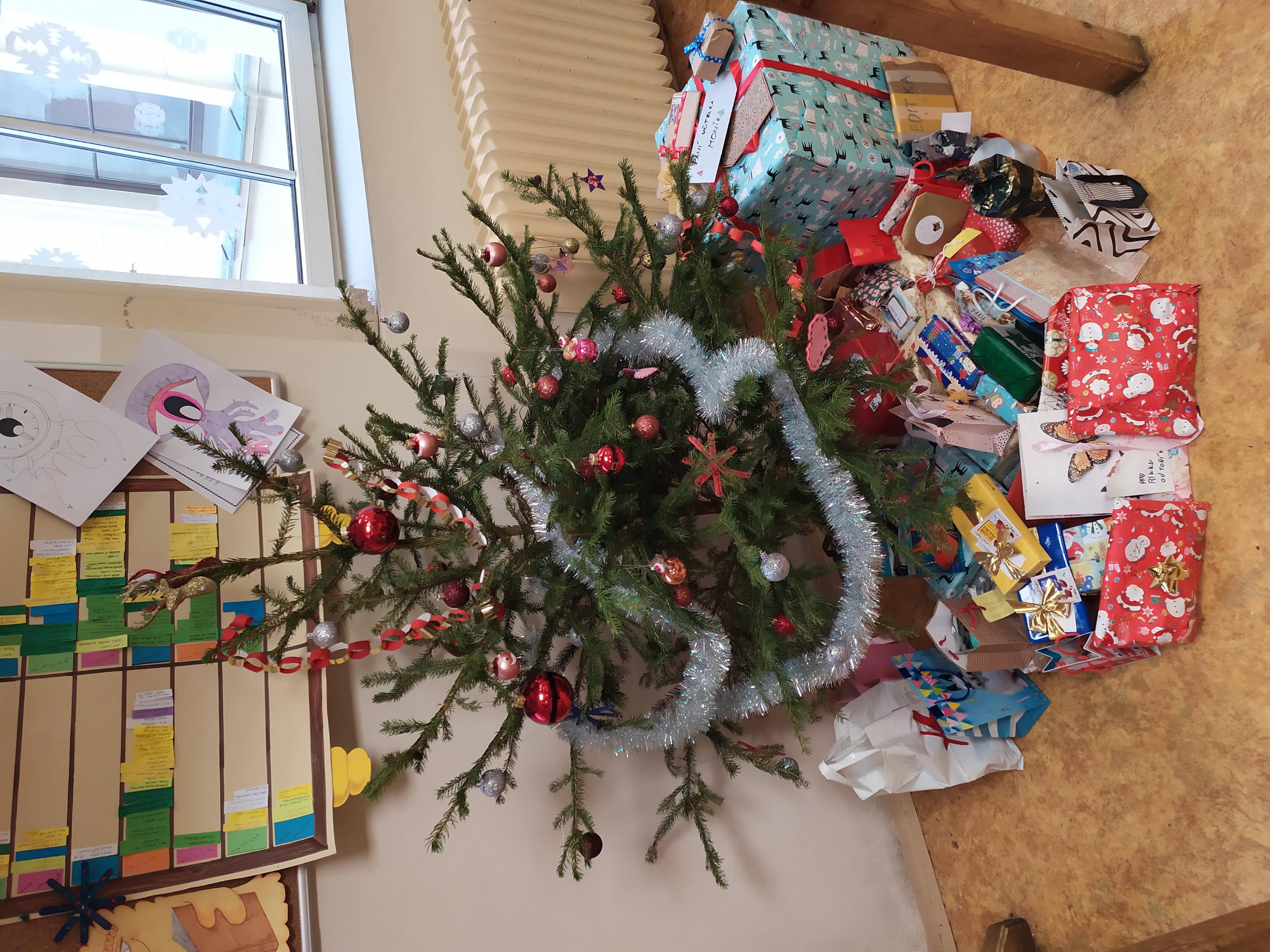 Ilustrační obrázek článku - Fotky za měsíc prosinec