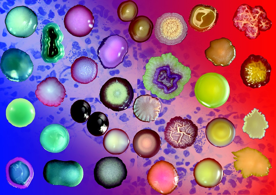 Ilustrační obrázek článku - ČP test - 9. ročník