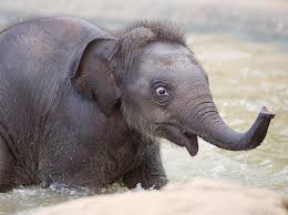 Ilustrační obrázek článku - Sedmička - španělština- skup. pí uč. Jančové