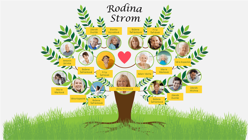 Ilustrační obrázek článku - ČS - RODOKMEN