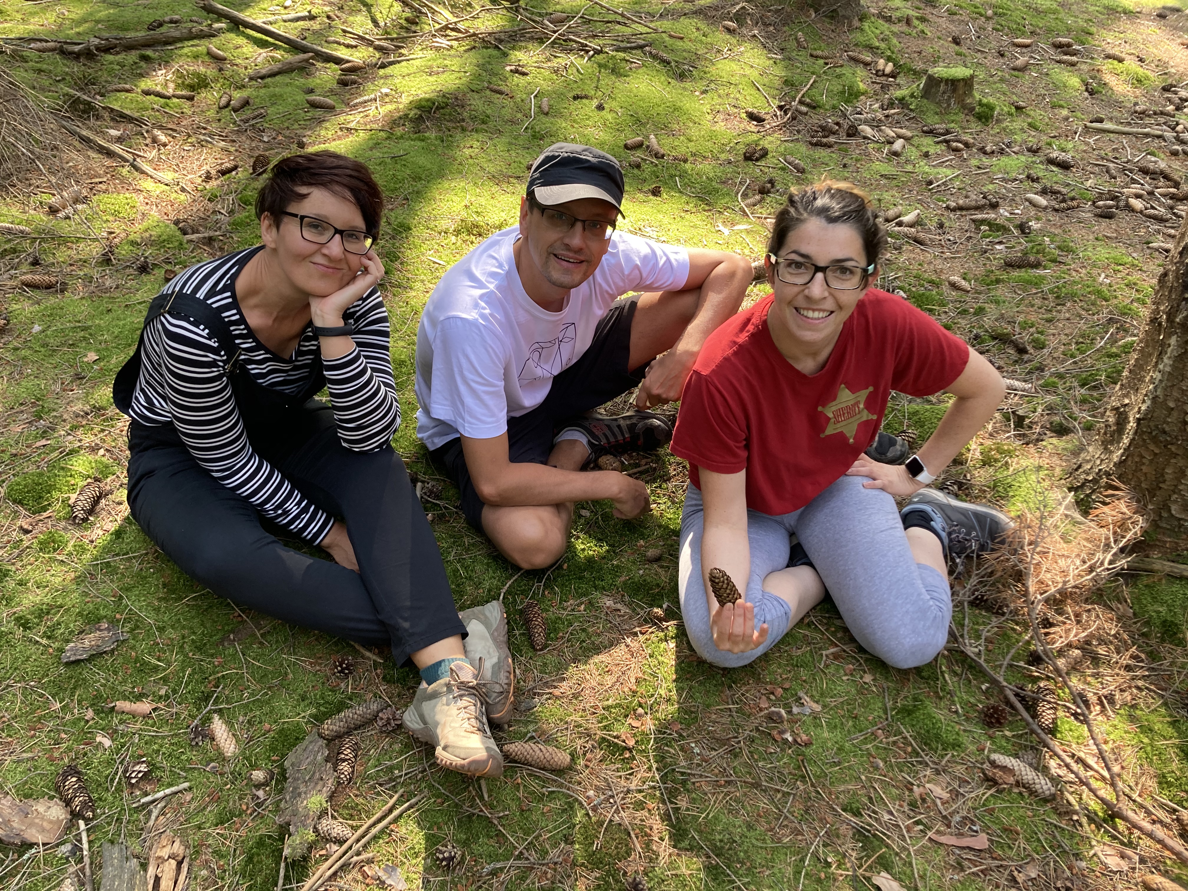 Ilustrační obrázek článku - Příjezd z Pecky