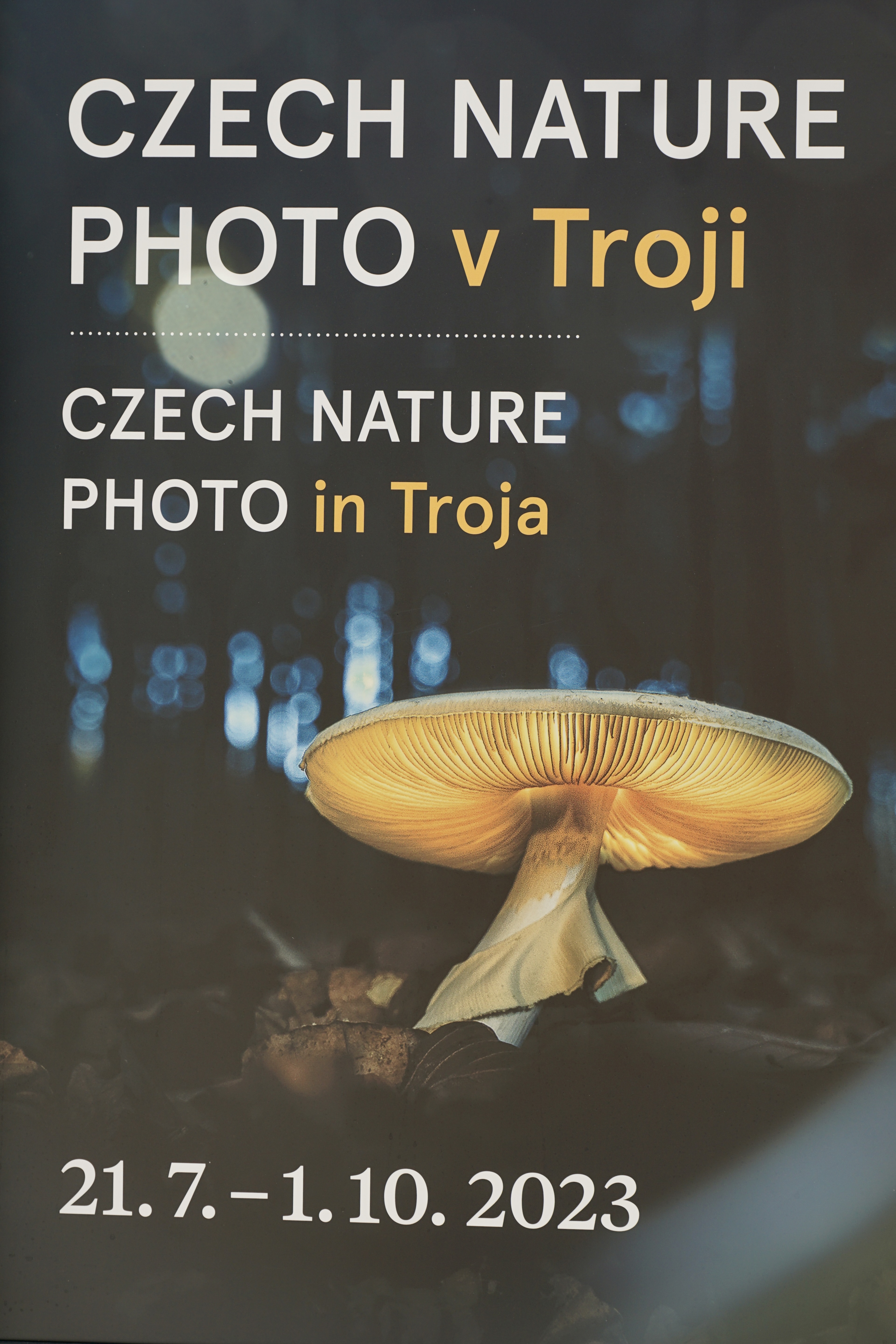 Ilustrační obrázek článku - Czech Nature Photo in Troja